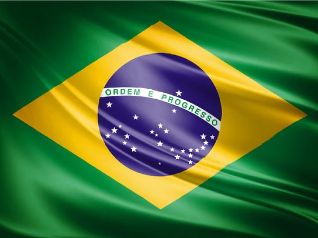 Proofreading - PESTEL analysis Brazil